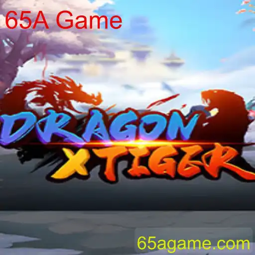 Descubra o Fascinante Mundo de 'DragonXTiger'